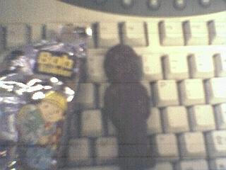 bob.jpg