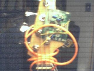 headstock.jpg
