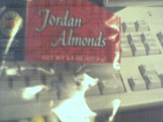 jordanalmonds.jpg