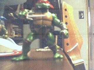 raph.jpg