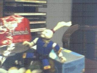 usagi.jpg